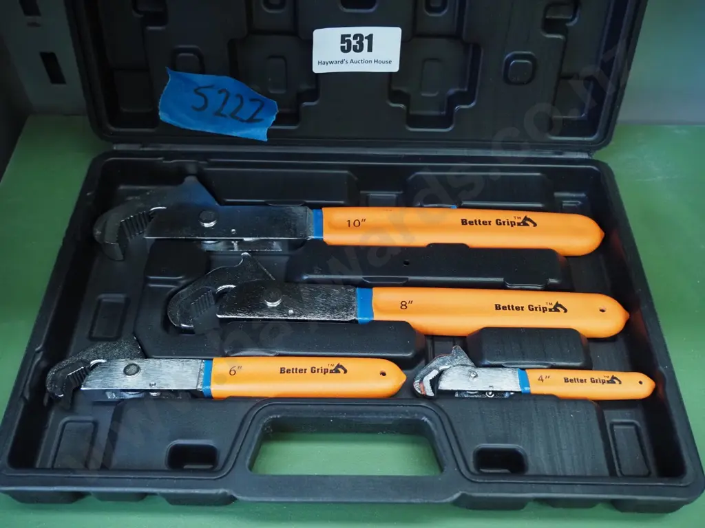 cased Renovator better grips Image 1++