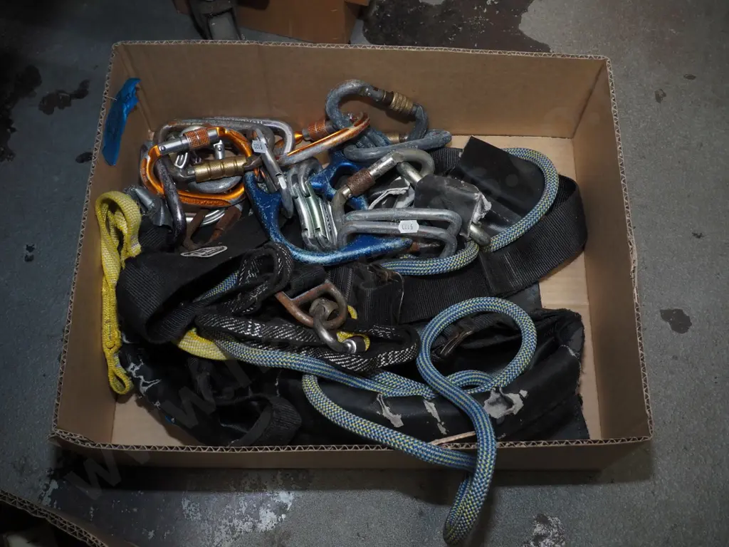 aborist's harness and shackles Image 1++
