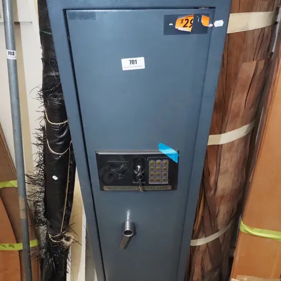 electronic digital gun safe