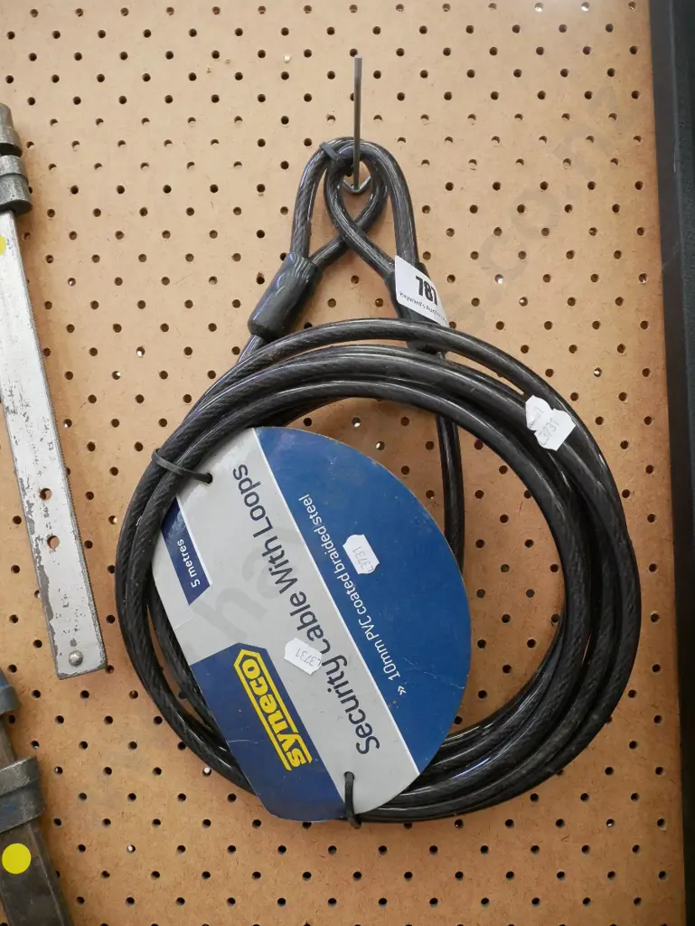 security cable with loops Image 1++