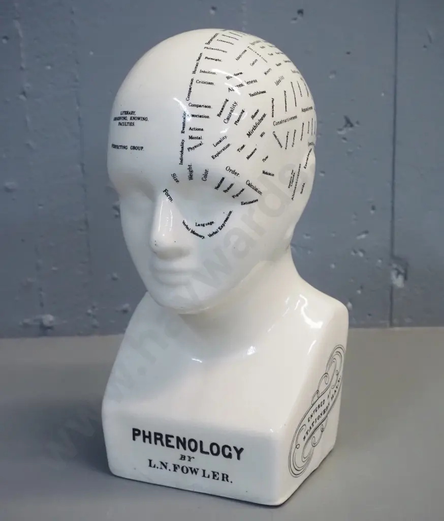 china phrenology head - marked L.N. Fowler, London - hairline crack on base H-300 Image 1++