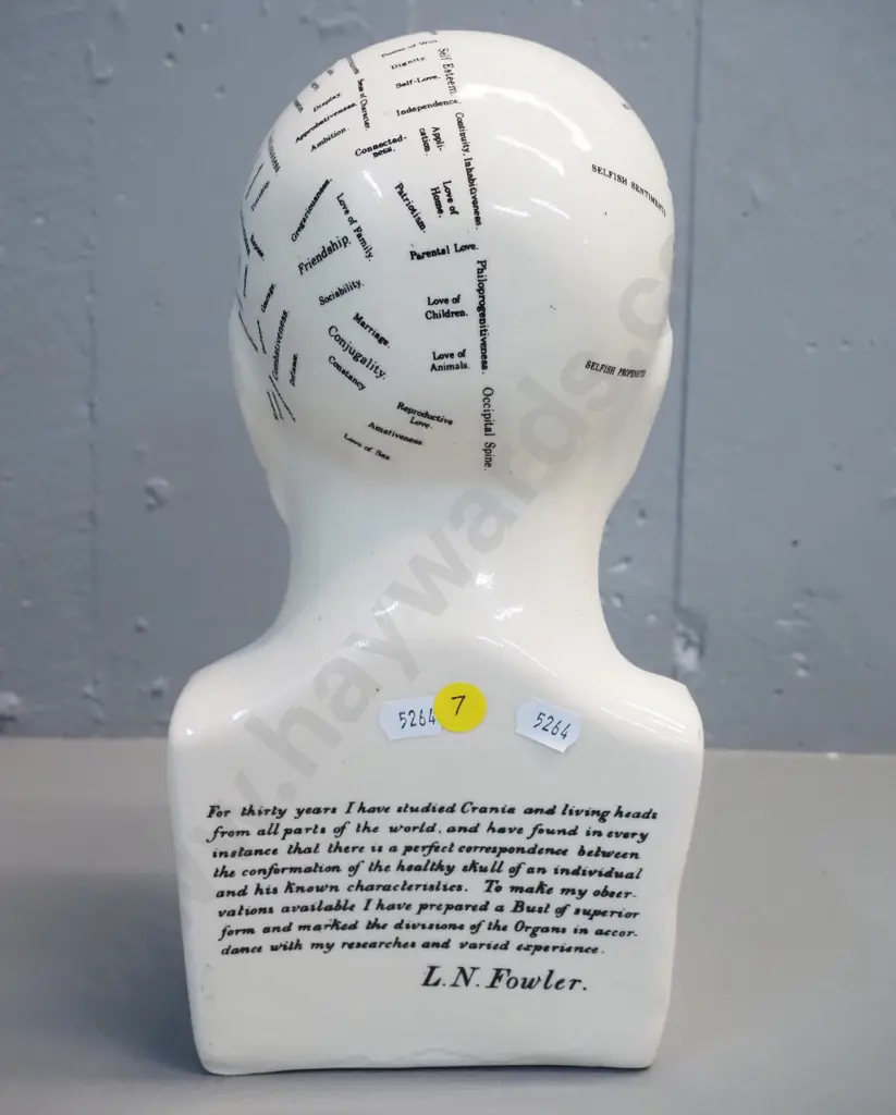 china phrenology head - marked L.N. Fowler, London - hairline crack on base H-300 Image 1++