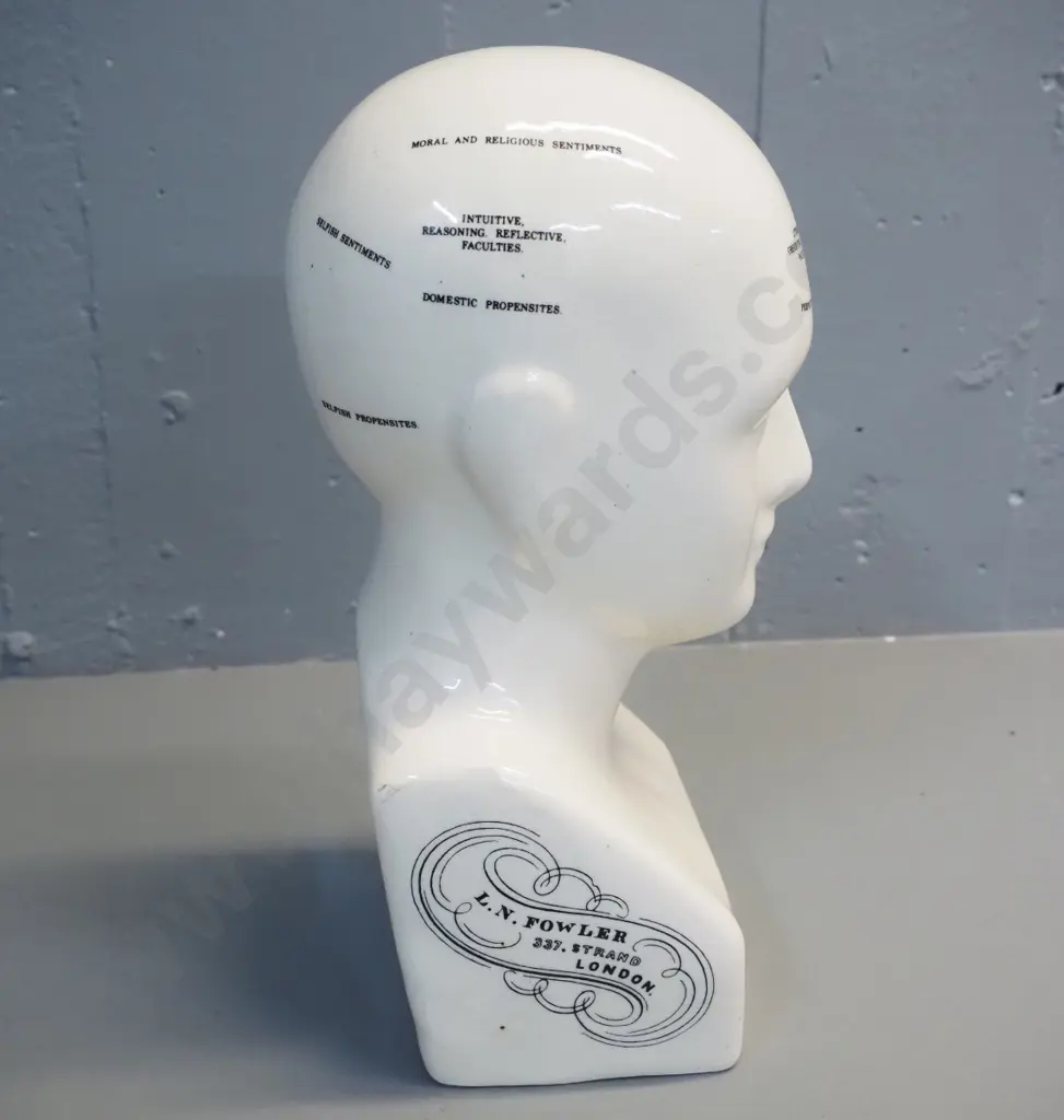 china phrenology head - marked L.N. Fowler, London - hairline crack on base H-300 Image 1++