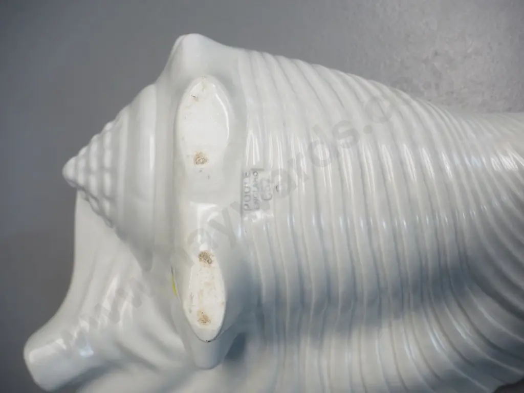 large Poole conch shell vase H-120 L-260 Image 1++