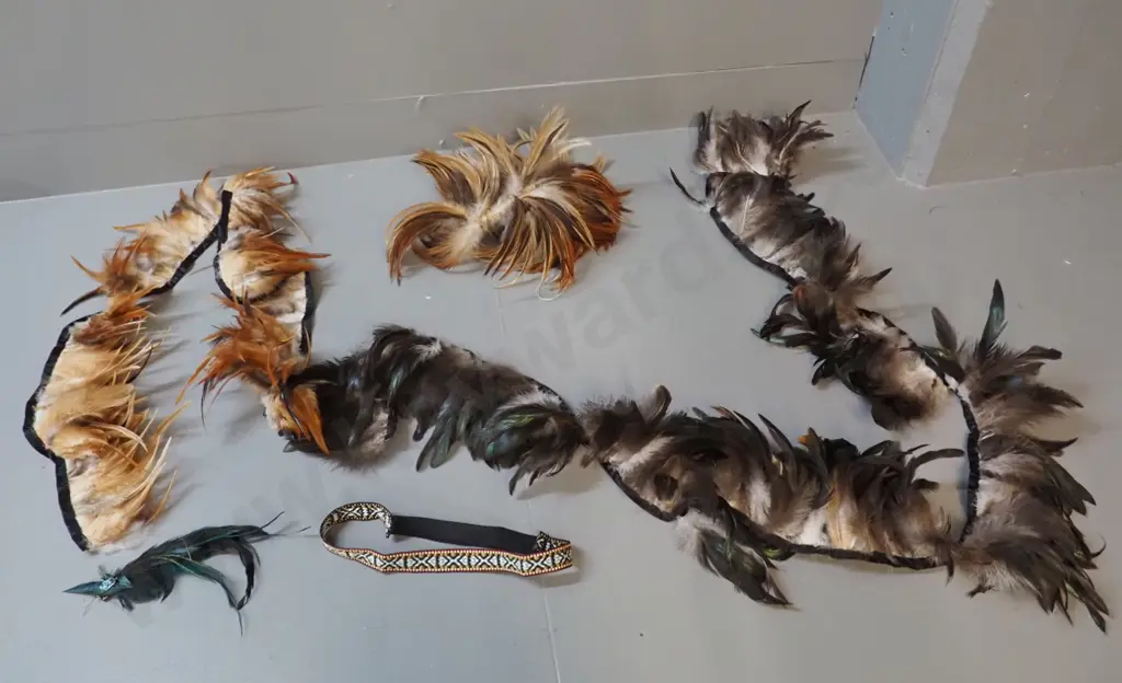 assorted feather costume trim pieces, feather hair piece, braided headband Image 1++