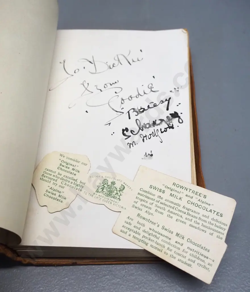 book Henry Longfellow - Evangeline - 1904 edition with suede cover and embossed design - cover is separating Image 1++
