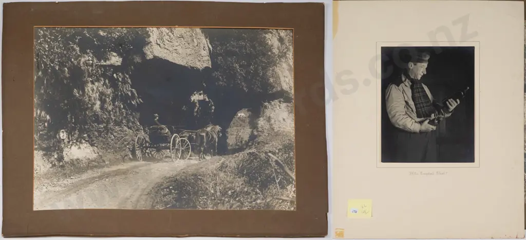 mounted photograph  horse and buggy (age marks/fading) H-390 W-530,, Edgar  R Williams photograph Image 1++