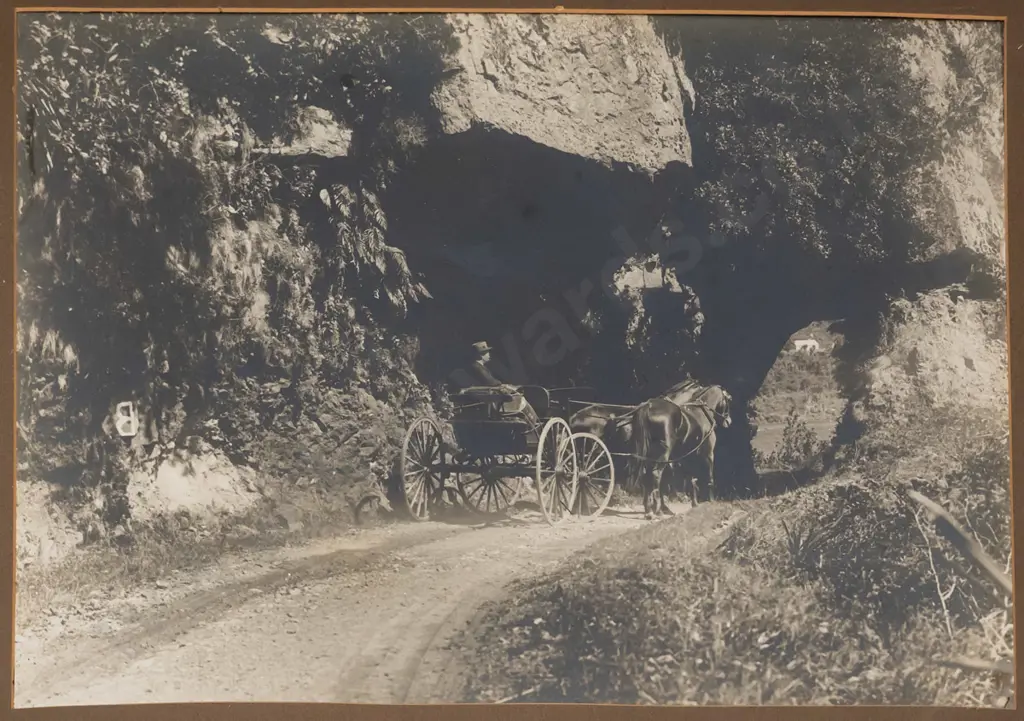 mounted photograph  horse and buggy (age marks/fading) H-390 W-530,, Edgar  R Williams photograph Image 1++