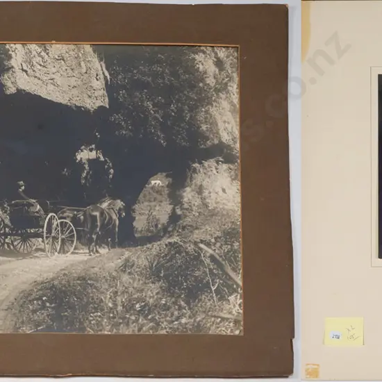 mounted photograph  horse and buggy (age marks/fading) H-390 W-530,, Edgar  R Williams photograph