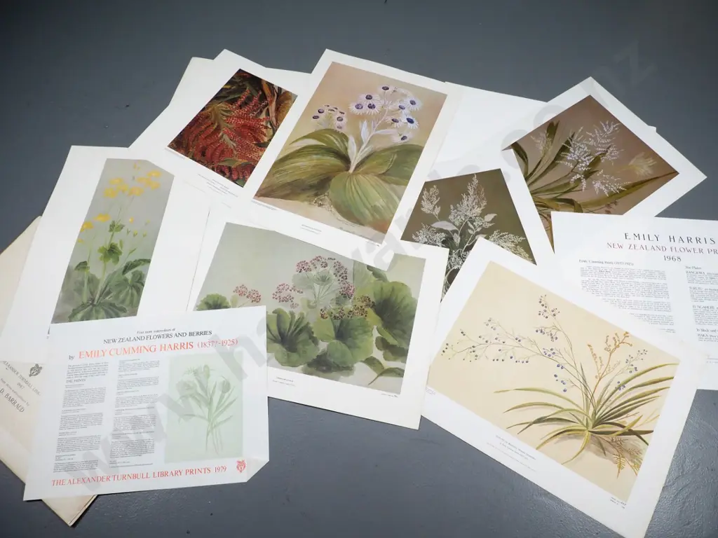 5 New Zealand historic print sets - some foxing, several are missing a print Image 1++