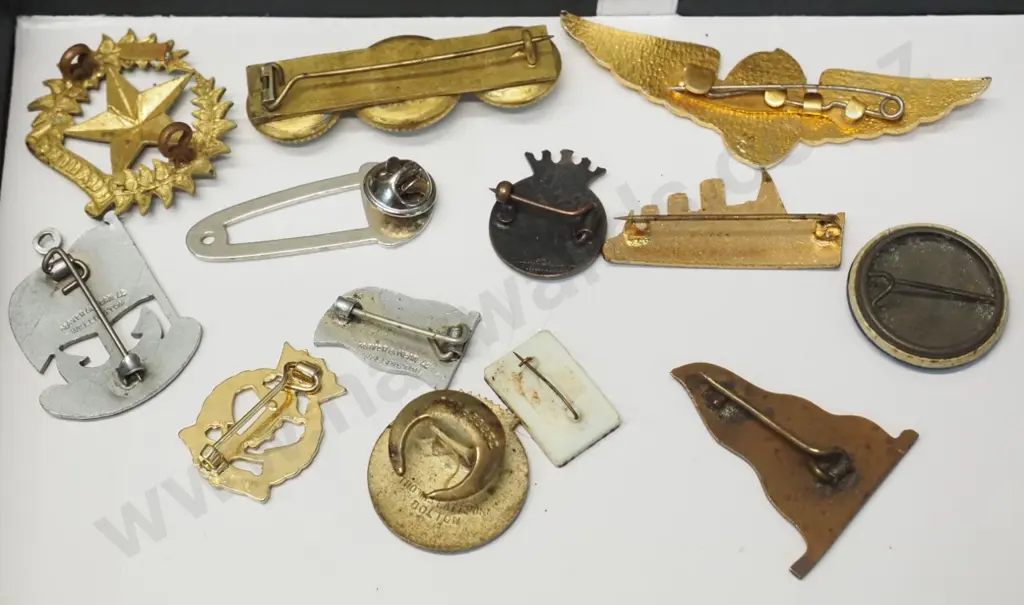 assorted navy or shipping badges - Ruahini hat badge, naval societies, Queen Mary, N.Z.S. Co. etc. Image 1++