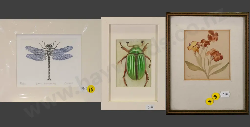 2x framed watercolours - beetle, flowers, mounted etching - dragonfly H-90 W-120 Image 1++