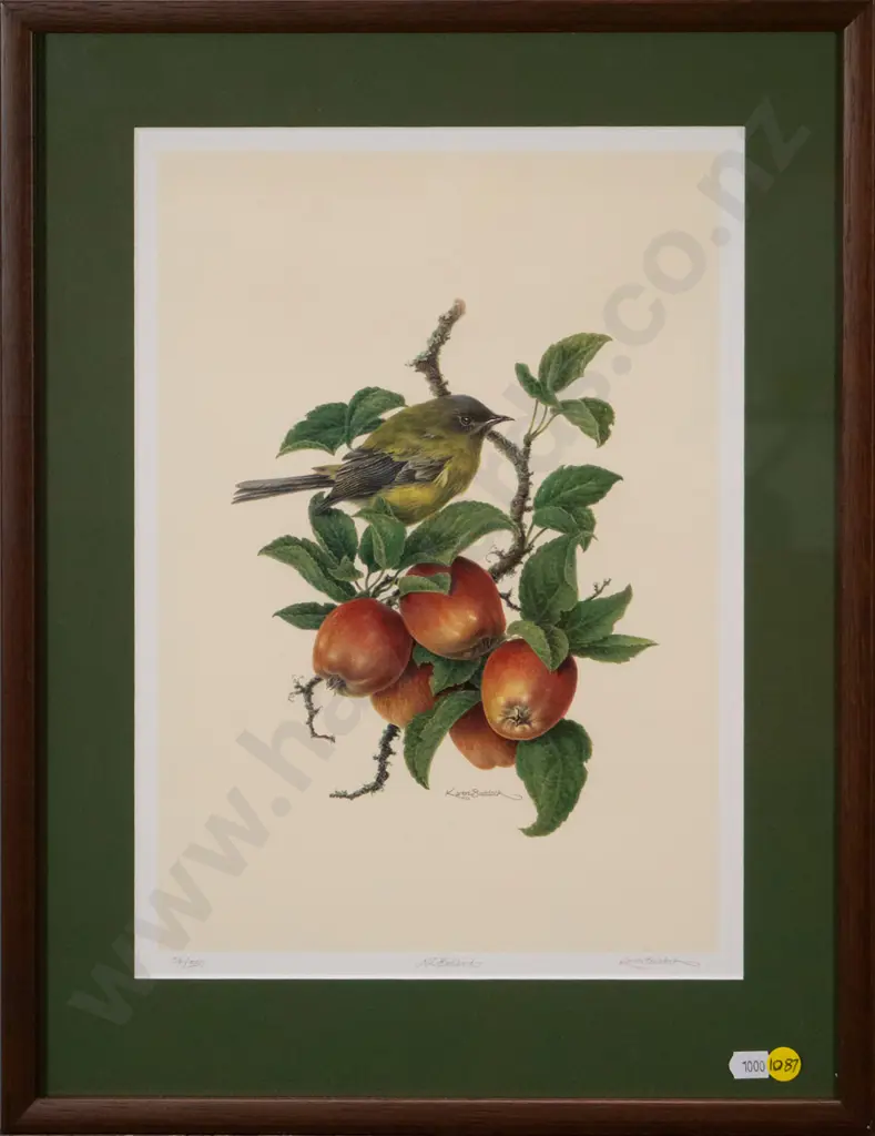 framed Karen Baddock ltd edition print 54/550 "NZ Bellbird" H-350 W-250 Image 1++