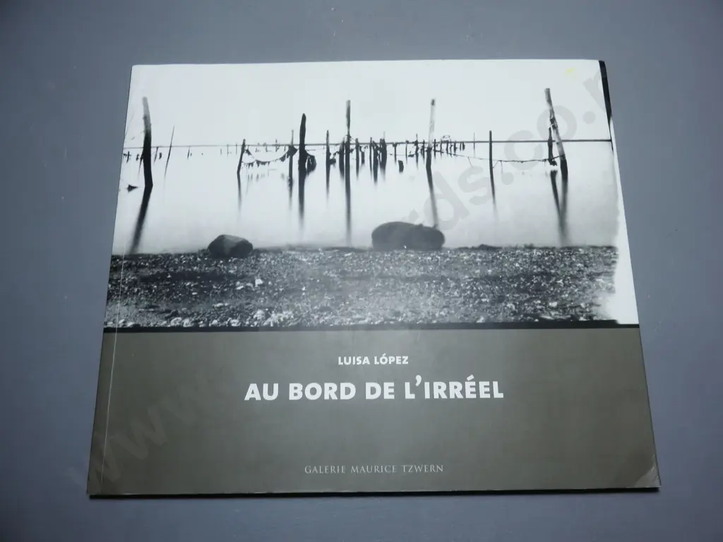 2002 Gallery Exhibition titled “Au Bord De L’irreel Image 1++