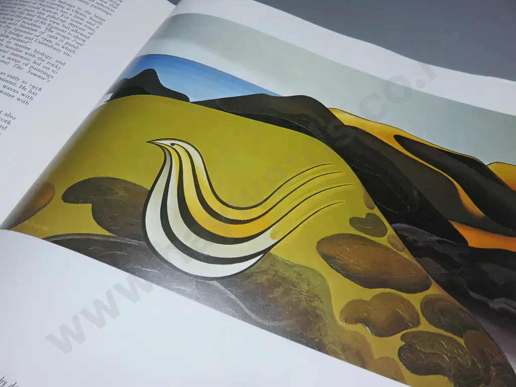 200 years of New Zealand Painting Image 1++