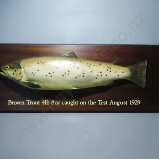 Early plaster cast mounted Brown Trout