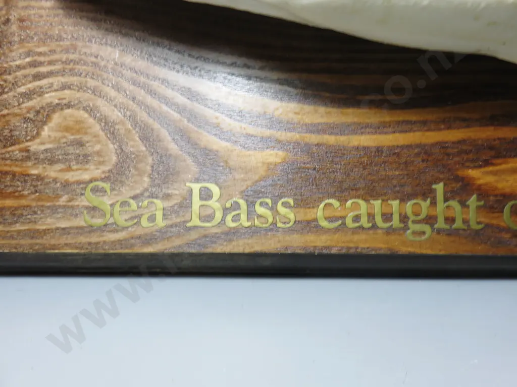 1951 mounted Sea bass on timber back board Image 1++