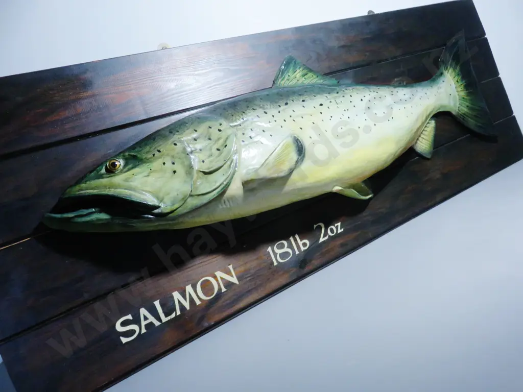 Large vintage mounted composite salmon on Board Image 1++