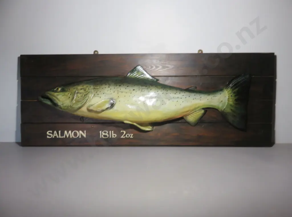 Large vintage mounted composite salmon on Board Image 1++