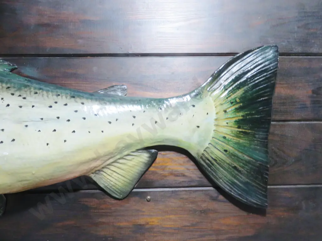 Large vintage mounted composite salmon on Board Image 1++