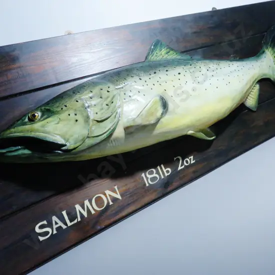 Large vintage mounted composite salmon on Board