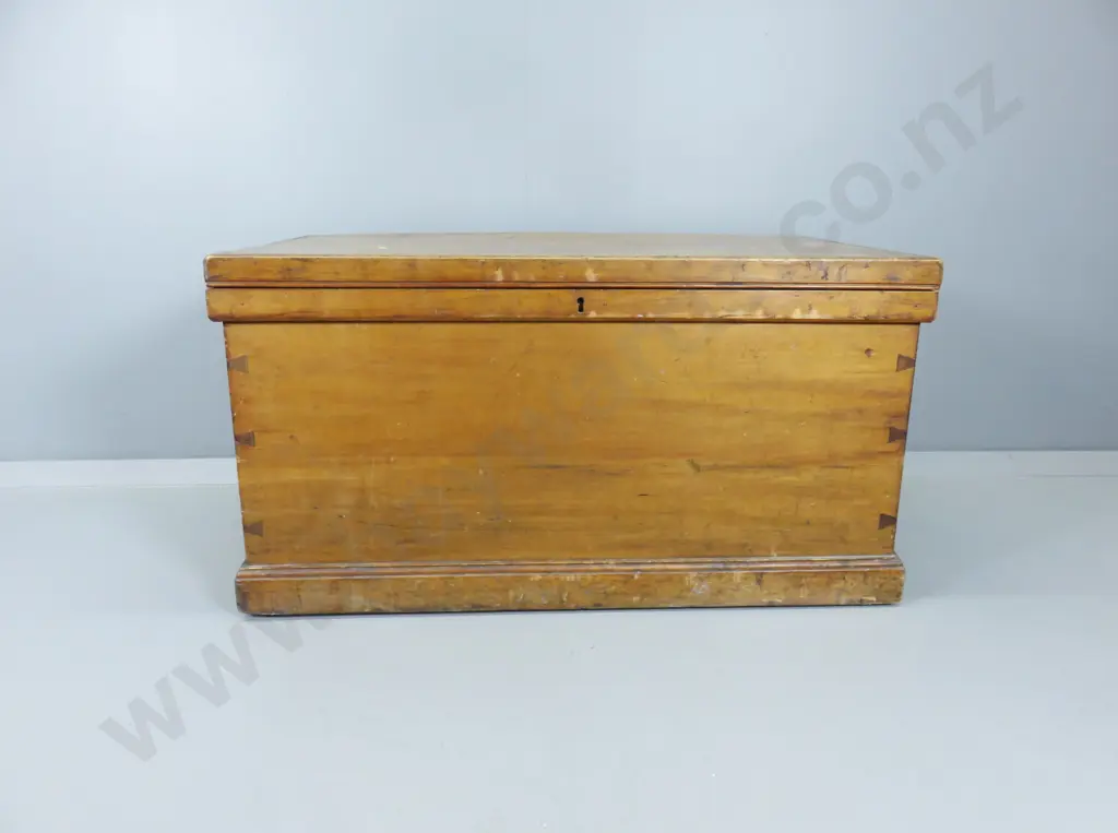 Early Baltic Pine Travel Trunk Image 1++