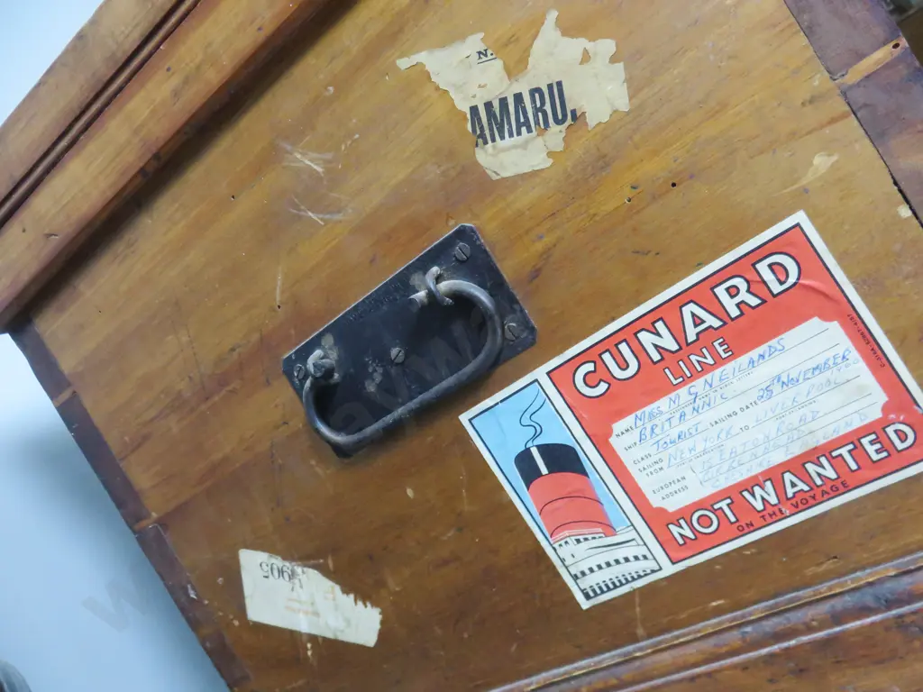 Early Baltic Pine Travel Trunk Image 1++
