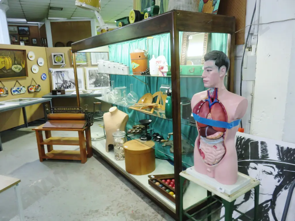 Edwardian department store illuminated display cabinet - missing glass doors, unmatched shelving H-1770 W-2580 D-690 Image 1++