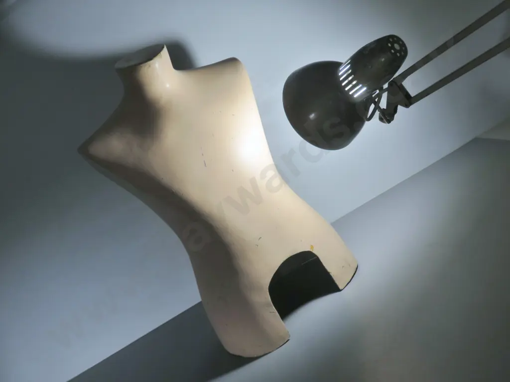Large vintage upper torso Mannequin Image 1++