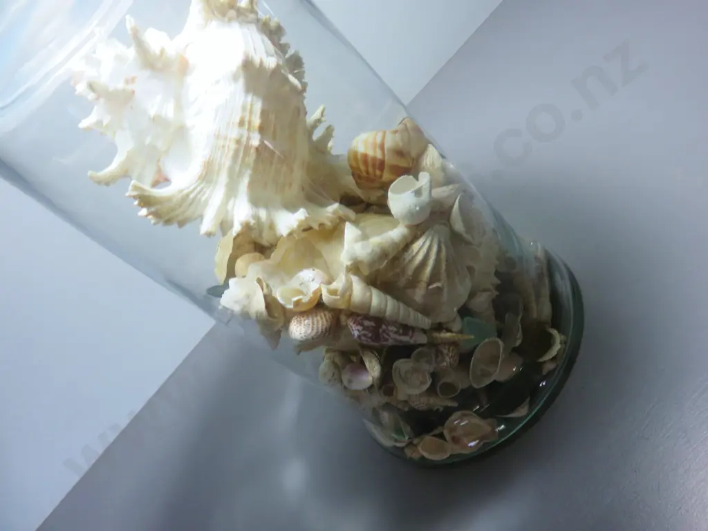 Large lidded glass cylindrical vessel with lid Image 1++