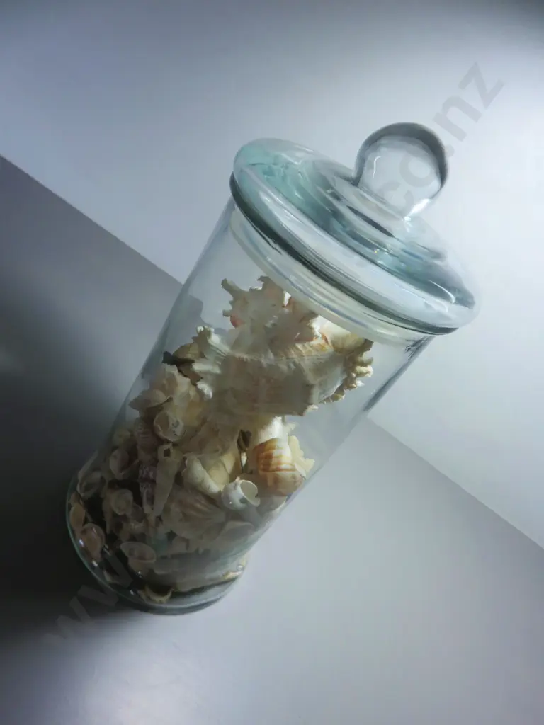 Large lidded glass cylindrical vessel with lid Image 1++