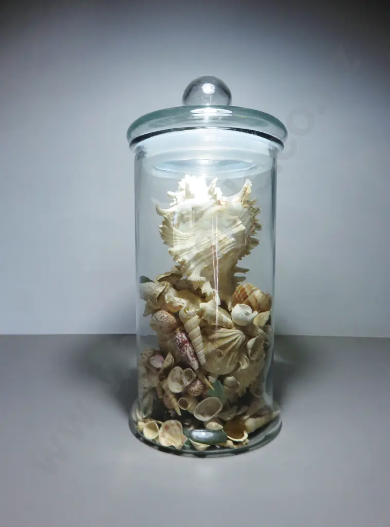Large lidded glass cylindrical vessel with lid Image 1++