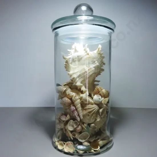 Large lidded glass cylindrical vessel with lid