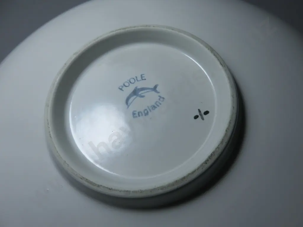 Early Poole pottery Delphis plate from the studios craft section Image 1++