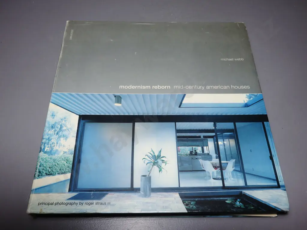 Modernism Reborn. Mid Century American Houses Image 1++