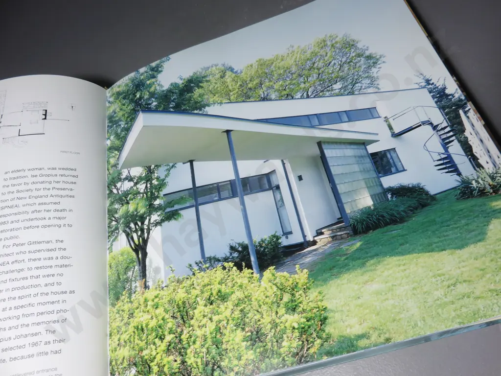 Modernism Reborn. Mid Century American Houses Image 1++