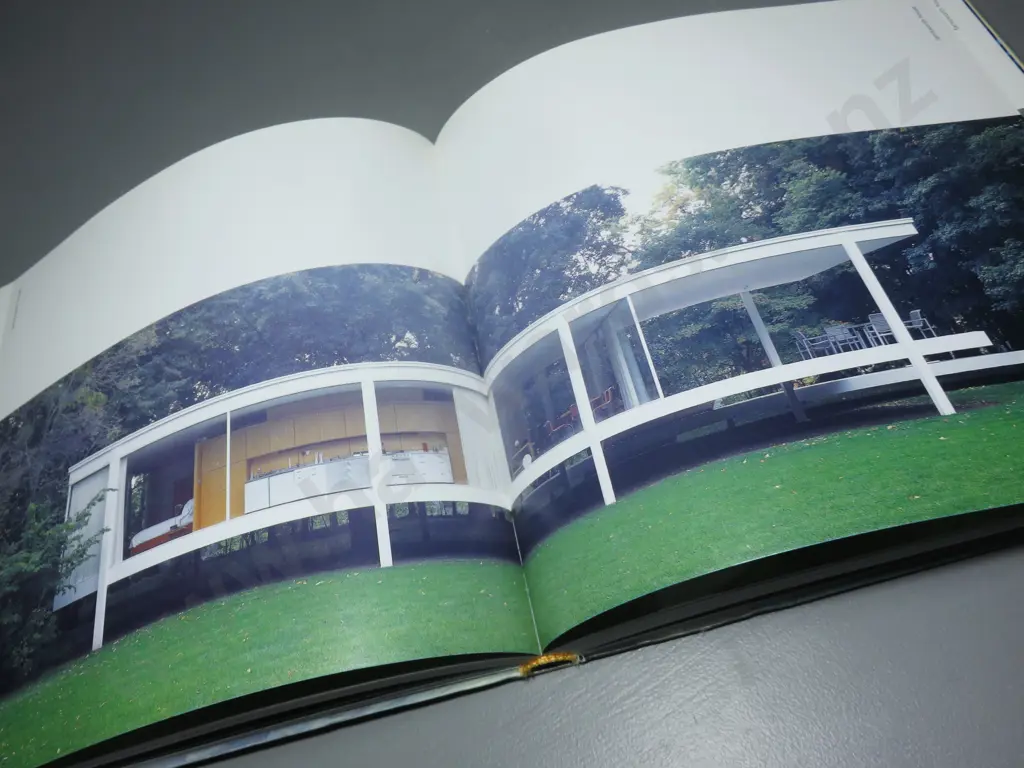 Modernism Reborn. Mid Century American Houses Image 1++