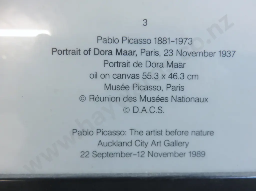 Rare original 1989 Auckland City Art Gallery Picasso advertising Print Image 1++