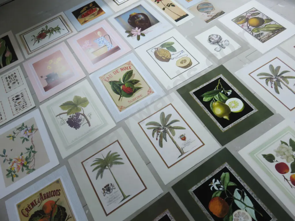 Collection of smaller Decorative Botanical Prints Image 1++