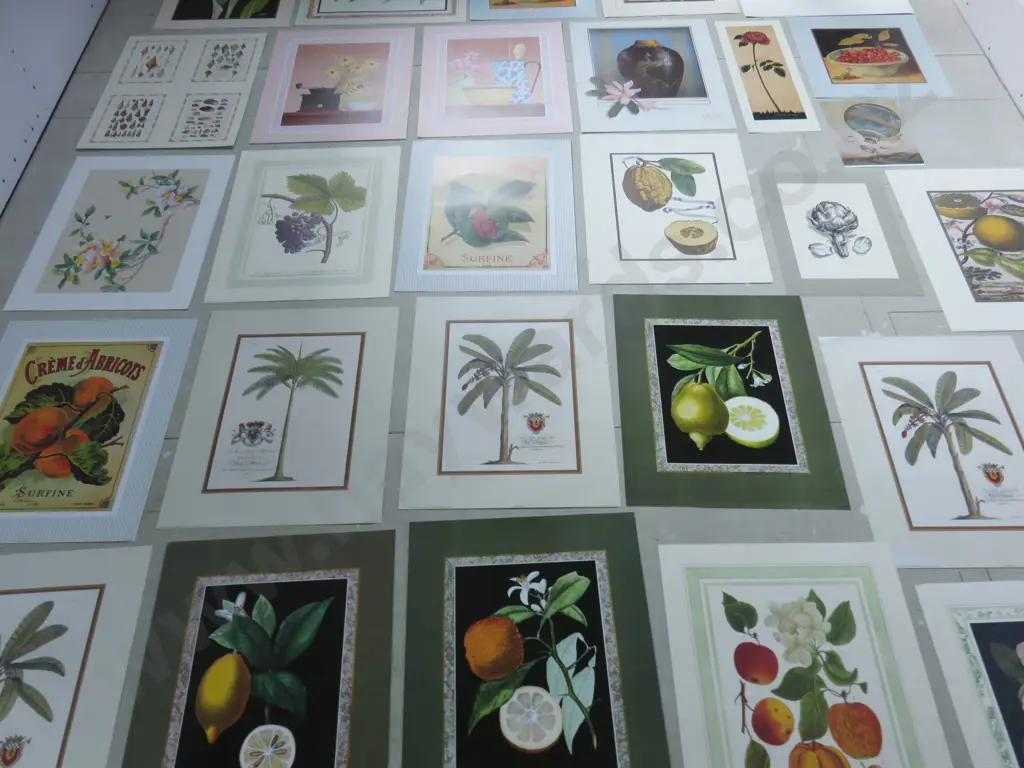 Collection of smaller Decorative Botanical Prints Image 1++