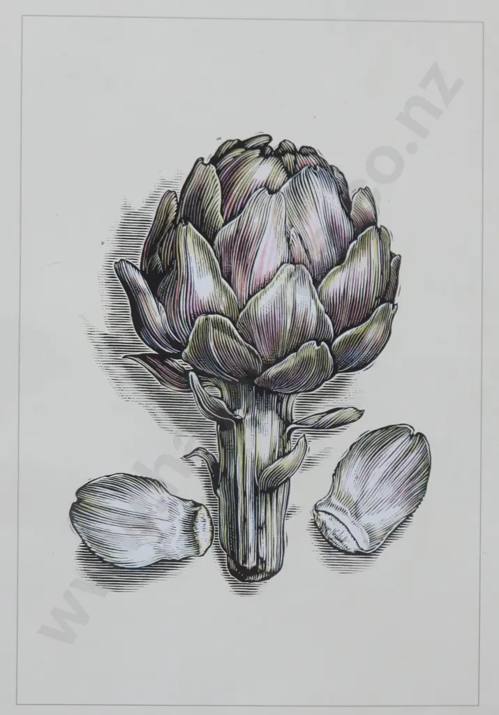 Collection of smaller Decorative Botanical Prints Image 1++