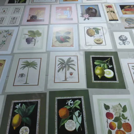 Collection of smaller Decorative Botanical Prints