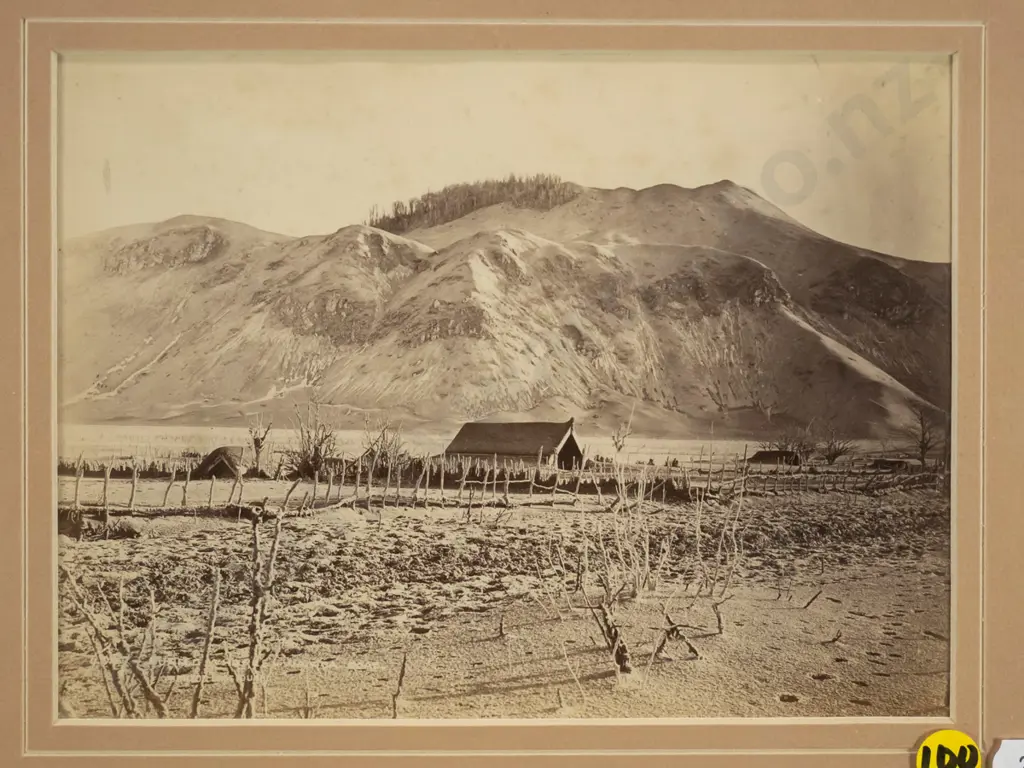 framed vintage Burton Bros vintage photograph - buried whares, Wairoa Rd, 1886 H-140 W-190 (foxing) Image 1++