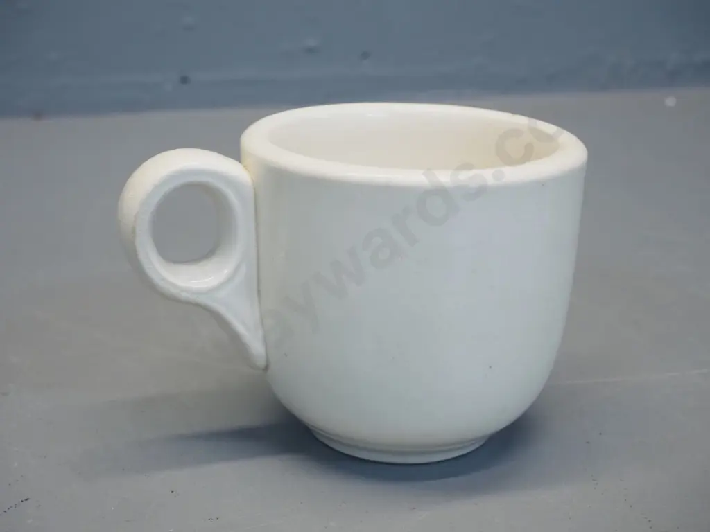 early Ambrico mug and Crown Lynn collector's book Image 1++