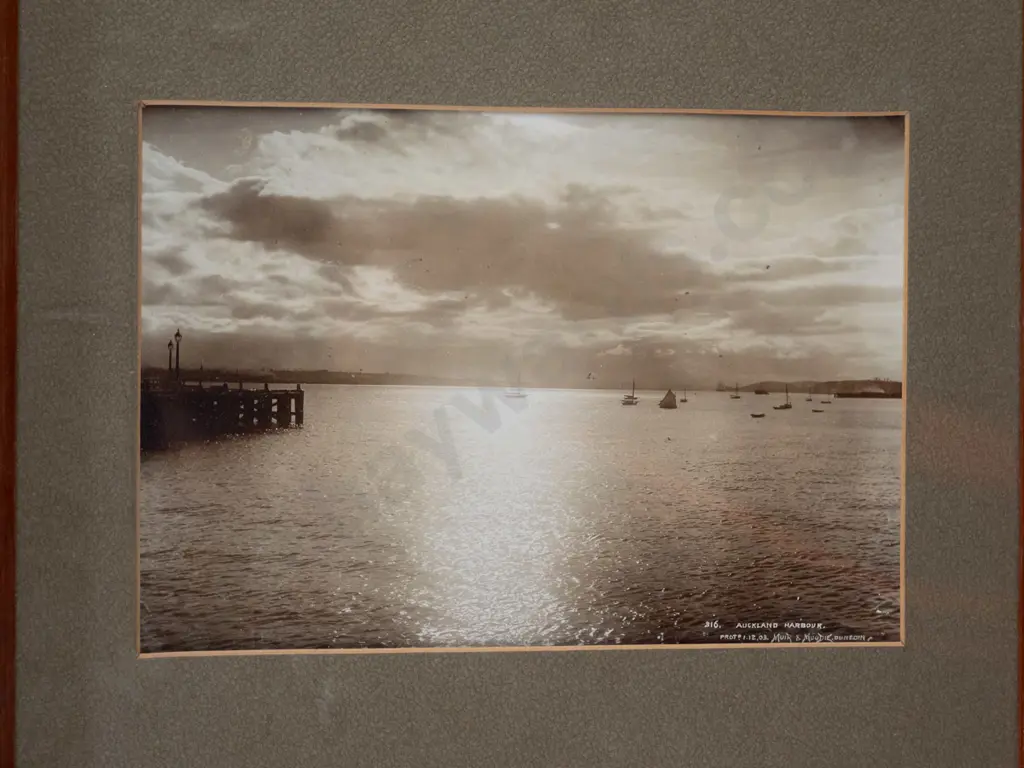 framed vintage Muir & Moodie photographic triptych - Oamaru Harbour, Auckland Harbour, The French Pass H-560 W-195 Image 1++
