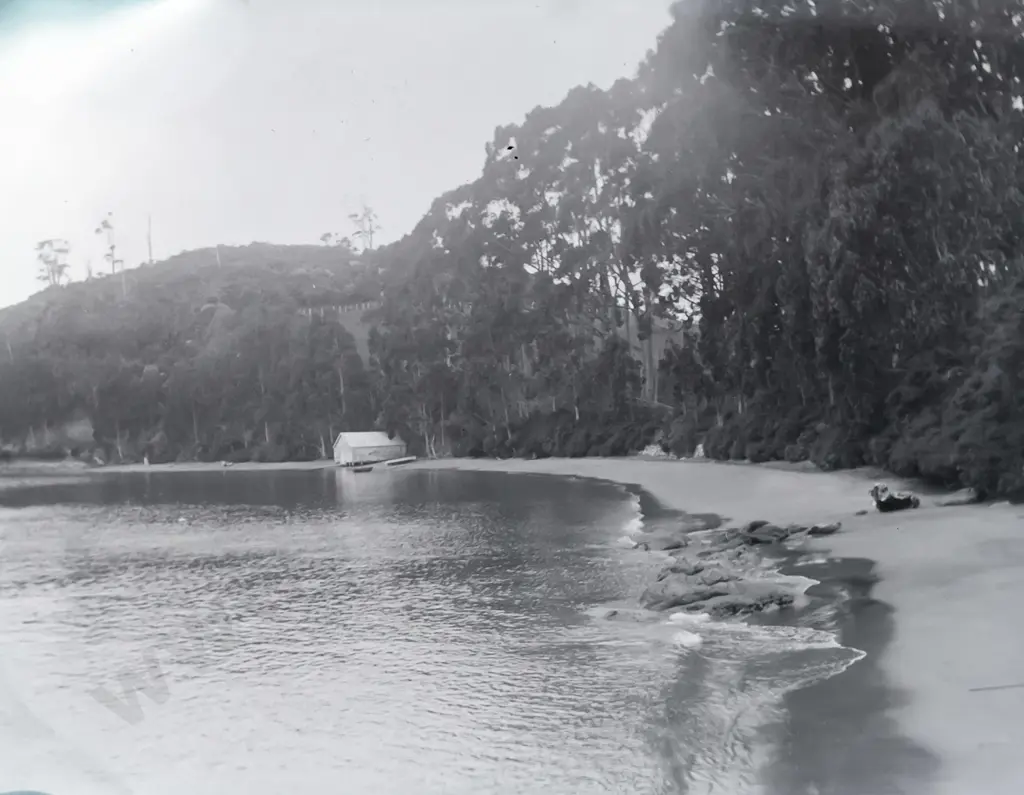 2 boxes glass plate negatives attrib. EA Phillips: boat excursions, landscapes (Stewart Island?) a few Savoy Hotel etc. Image 1++