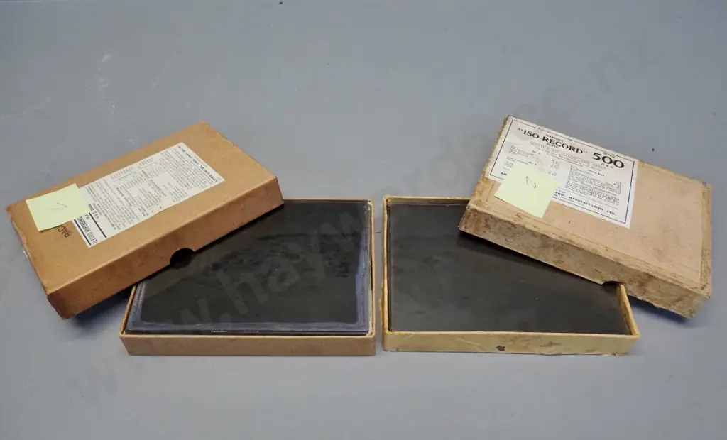 2 boxes glass plate negatives attrib. EA Phillips: boat excursions, landscapes (Stewart Island?) a few Savoy Hotel etc. Image 1++