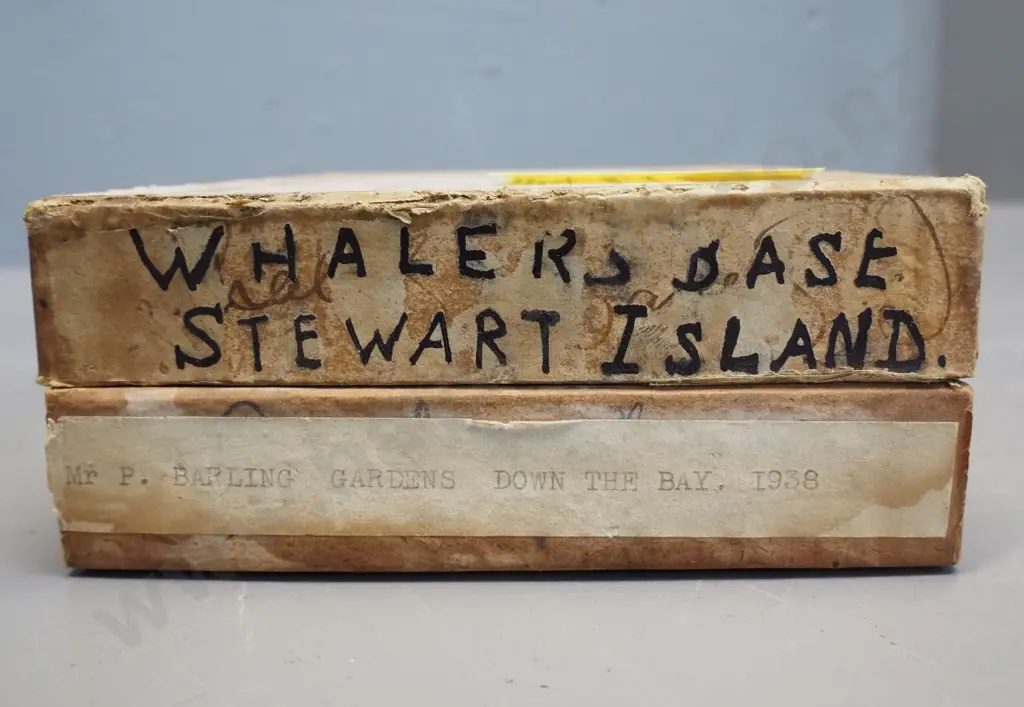 2 boxes glass plate negatives attrib. EA Phillips: boat excursions, landscapes (Stewart Island?) a few Savoy Hotel etc. Image 1++