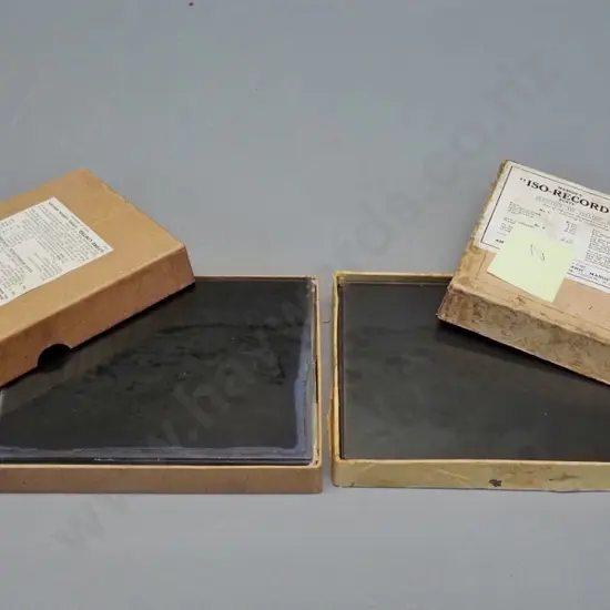 2 boxes glass plate negatives attrib. EA Phillips: boat excursions, landscapes (Stewart Island?) a few Savoy Hotel etc.