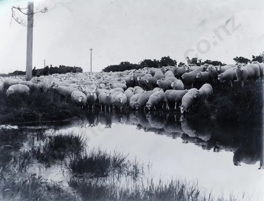 2 boxes glass plate negatives attrib. EA Philips: Duke of York (George VI) 1927 visit, assorted half-plate negatives etc Image 1++